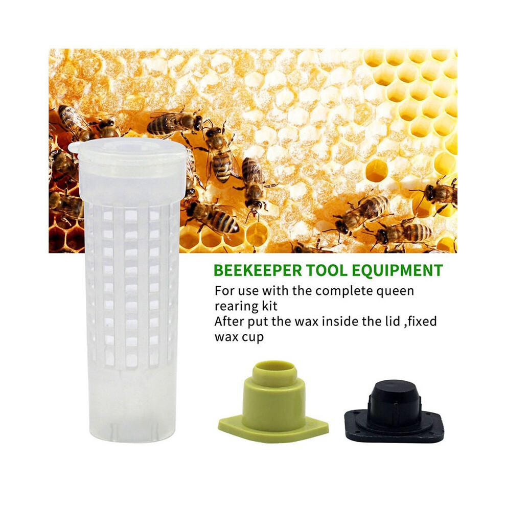 200 Pcs Queen Bee Roller Cage - Plastic Beekeeping Queen Cup Kit Queen Bee Roller Cage Back Cup Holder Beekeeping Tools 4712449587122