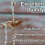 2X Rain Chains Metal Rain Chain Decorative Umbrella Rain Chain Bell Decor for Home,Replacement for Gutter Downspouts 6