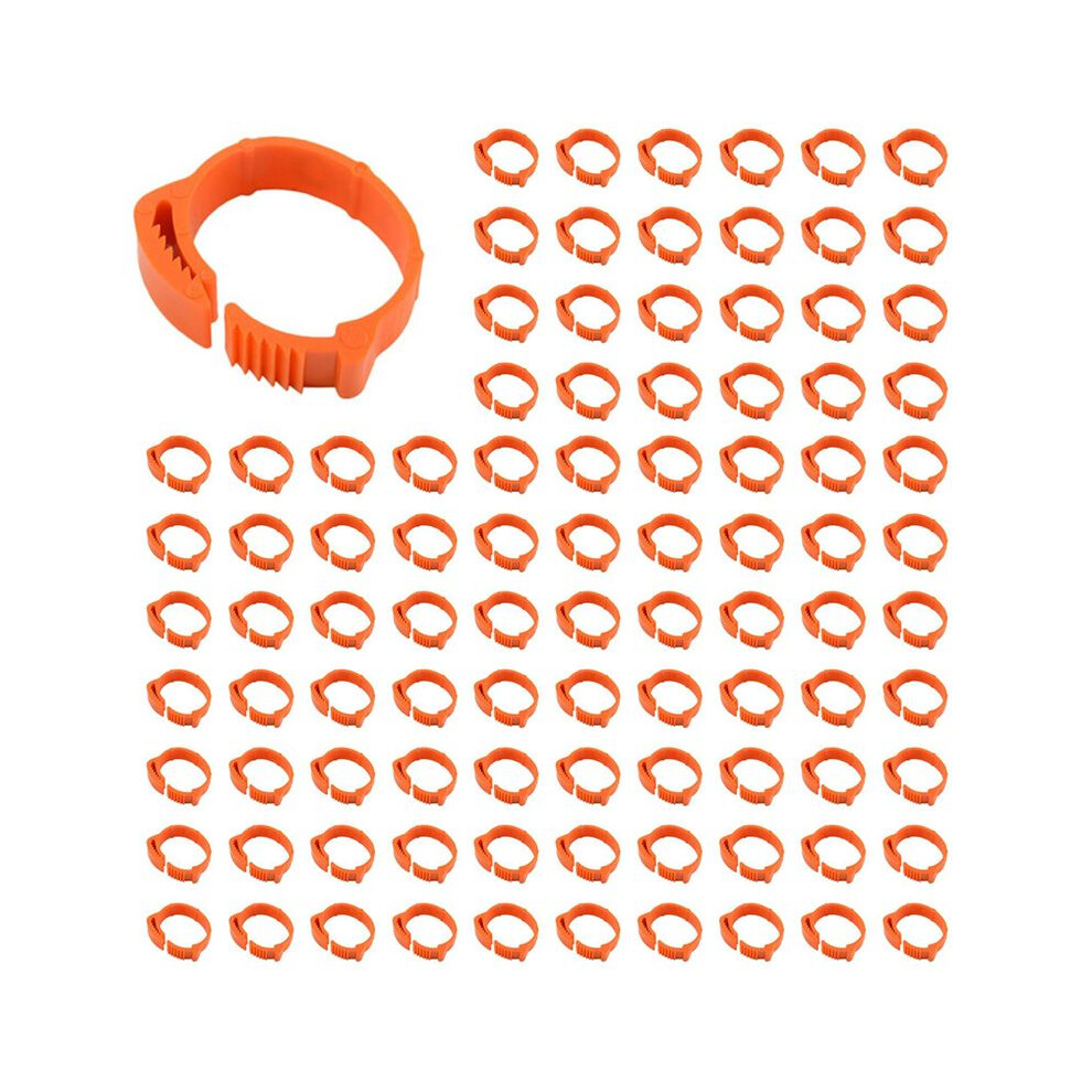 300Pcs Chicken Identification Leg Bands Tags Poultry Leg Bands Bird Leg Bands Duck Leg Bands Clip- Rings 6031170374978