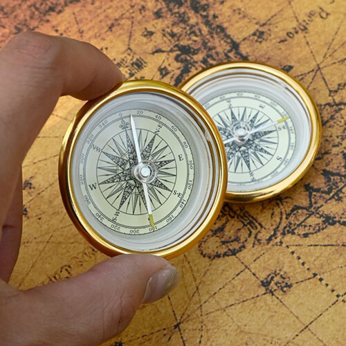 Fashion Retros Compasses With Accurate Navigations-Dry flakes 1