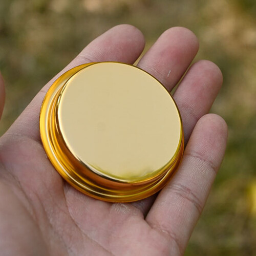 Fashion Retros Compasses With Accurate Navigations-Dry flakes 2