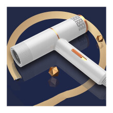 Professional Ionic Hair Dryer with Speed Brushless Motor, Cold Air, Low Noise, White US Plug