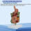 Human Colon Anatomy Model with Clear Lesion Visualization, Removable Digestive System Pathology Model 3