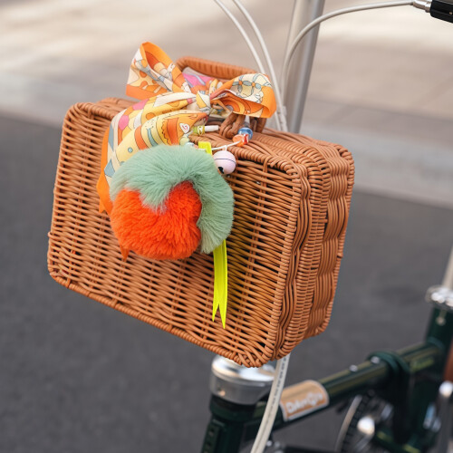 Simulation Vine Bicycles Front-persimmon  Nylon riser. set 2