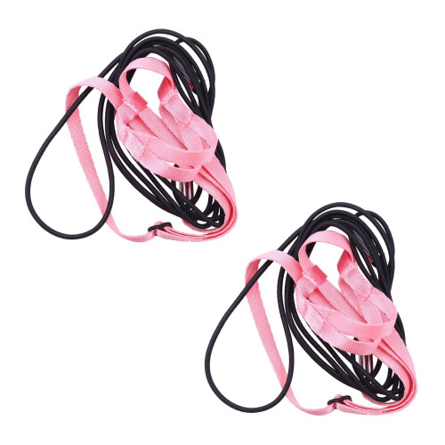 2X Pet Bird Harness and Leash,Adjustable  Bird Harness Leash - Pet Anti-Bite Training Rope (P)