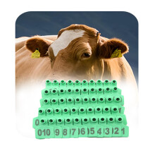 Numbered Cattle Ear Tags 11000 with Sequential Color Coding for Livestock Identification