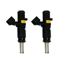 2X Buse D'Injecteur de Carburant pour CITROËN BERLINGO C3 C4 C5 DS3 2008 207 208 3008 308 5008 508