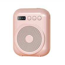 Amplificatore Vocale Portatile Megafono Altoparlante Audio con Microfono Altoparlante Ricaricabile per Insegnanti Discorso Rosa