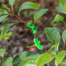 72 Pcs 90 Degree Plant Trainer for Low Stress Training Bending Clips LST Clips for Plant Trellis Growth Kits