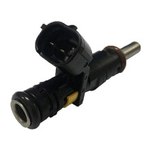 2X Buse D'Injecteur de Carburant pour CITROËN BERLINGO C3 C4 C5 DS3 2008 207 208 3008 308 5008 508