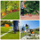 100Pack Marking Flags, Orange Yard Flags 15x4x5Inch,  Flags, Lawn Flags Markers, Irrigation Flags, Landscape Flags 4
