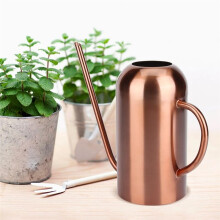 Arrosoir en Acier Inoxydable à Long Bec pour Plantes et Fleurs de Jardin - 1,5 L - Outil D'Irrigation