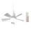2X Socket Fan Light Small Ceiling Fan with Light and Remote, Screw in Ceiling Fan Light for E27 Base 2