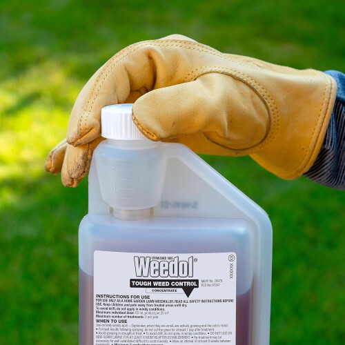 Weedol Tough Weed Control 500ml Concentrate - Kills Brambles & Deep Roots 2