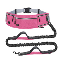Ceinture de passage pour animaux de compagnie utile et-Rose