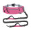 Ceinture de passage pour animaux de compagnie utile et-Rose 1