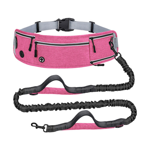 Ceinture de passage pour animaux de compagnie utile et-Rose