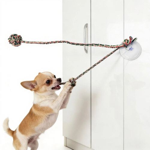 Ventouse en silicone pour chien, jouet interactif pour chien, 1