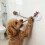 Ventouse en silicone pour chien, jouet interactif pour chien, 4