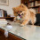 Ventouse en silicone pour chien, jouet interactif pour chien, 5