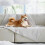 Ventilated Pet refrigerating Pad Developed To Provide A-L 3