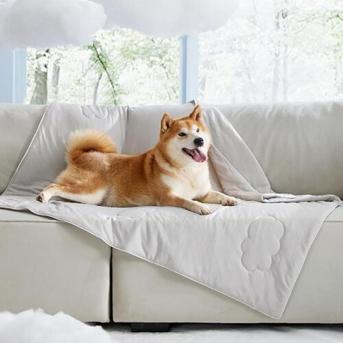 Ventilated Pet refrigerating Pad Developed To Provide A-L 2