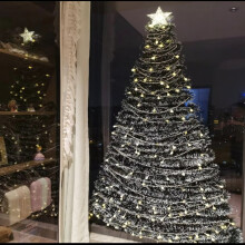 10M DIY Christmas Rattan Light with Battery LED, Dark Green White Edge for Indoor Holiday Decor