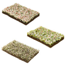 3PCS/Lot DIY Mini Foliage Clusters Architecture Model-D