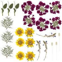 18Pcs Long Time Pressed Flower Set Natural Homes Decors-E