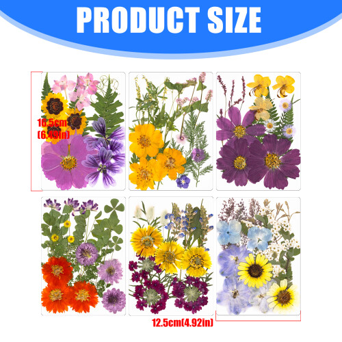 18Pcs Long Time Pressed Flower Set Natural Homes Decors-E 1