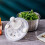 Salad Spinner Fruit Spinner Filter Home Kitchen Salad Spinner, Lettuce Spinner, Fruit Washer Milky Liner 2
