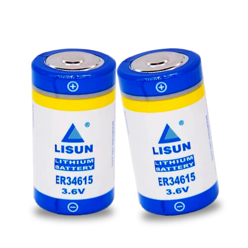 2pcs ER34615 3.6V 19000mAh D Size Lithium Battery Long Runtime for PLC Programmer
