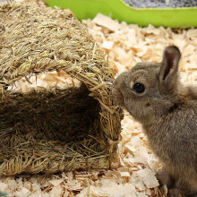 2X Grass House Tunnel Hutch Woven Hut for Laying Or Sleeping Edible Chew Home for Rabbits Chinchilla and Small Animals