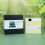 3D Molded Tree Desk Calendar twenty twenty six For-spring 5