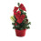 Mini Red PVC Christmas Tree Ornament 20cm with Rope Base 2