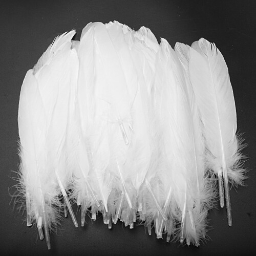 500Pcs White Feathers   for Party Hat Crafts Wedding Decoration 15-22cm 1