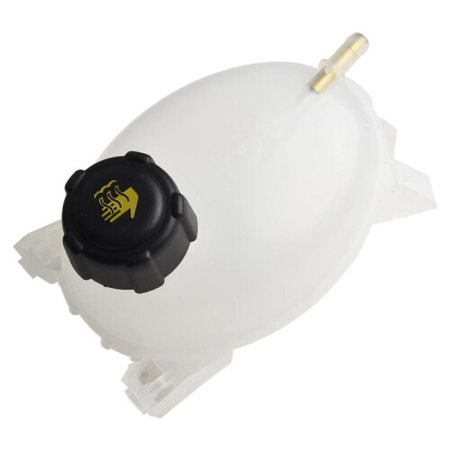 217100158R Serbatoio Acqua di Raffreddamento Motore per 1