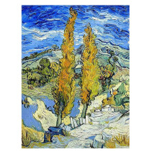 DIY Diamant Schilderij Kits voor Volwassenen, Volledige Boor Kristal Strass Schilderijen Kit voor Huisdecoratie van Gogh
