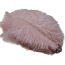 20-25cm Ostrich Feathers Stage Performances Feathers Handmade DIY Jewelry Decorations Ostrich Feathers Light