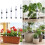 5pcs Plant Water Level Finders Plastic Construction Shortage 2