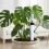 5pcs Plant Water Level Finders Plastic Construction Shortage 7