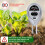 Advanced Soil Assessment Set Monitor Plant Growth By Evaluating 5
