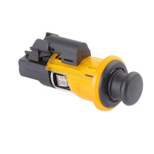 8200046338 Car Cigarette Lighter for Kangoo Megane Master Clio Dacia Logan Duter 8200021577 7700434803