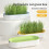 Hydroponic Cat Grass Box Cat Snack Hydroponic Soilless Planting Cat Grass Pot A 4