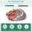 Vacuum Packaging Bag Fresh-Keeping Sealing Machine Packaging Machine Vacuum Machine for Home Use 3