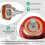 Kit de Reparo de Bomba de Jarro para  1160/PM500 e Bombas Manuais - Inclui Válvula Inferior de 3 1/2 Polegadas, Couro PU, Copo de Couro PU 5