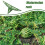Strawberry Support Squash Protector Stand Garden Pumpkin Support Stand Trellis Avoid Ground Rot for Watermelons Squash 2