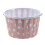 300X Cupcake Wrapper Paper Cake Case Baking Cups Liner Muffin 4