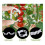 80pcs Tomato Hooks with String, Tomato Support Hooks, Tomato Holder Hooks & Plant Support Clips with 33.3ft Twine 2
