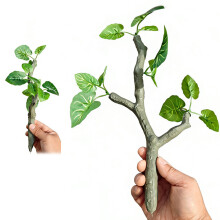 Plante de grotte d'élevage, Terrarium, paysage, plantes-3